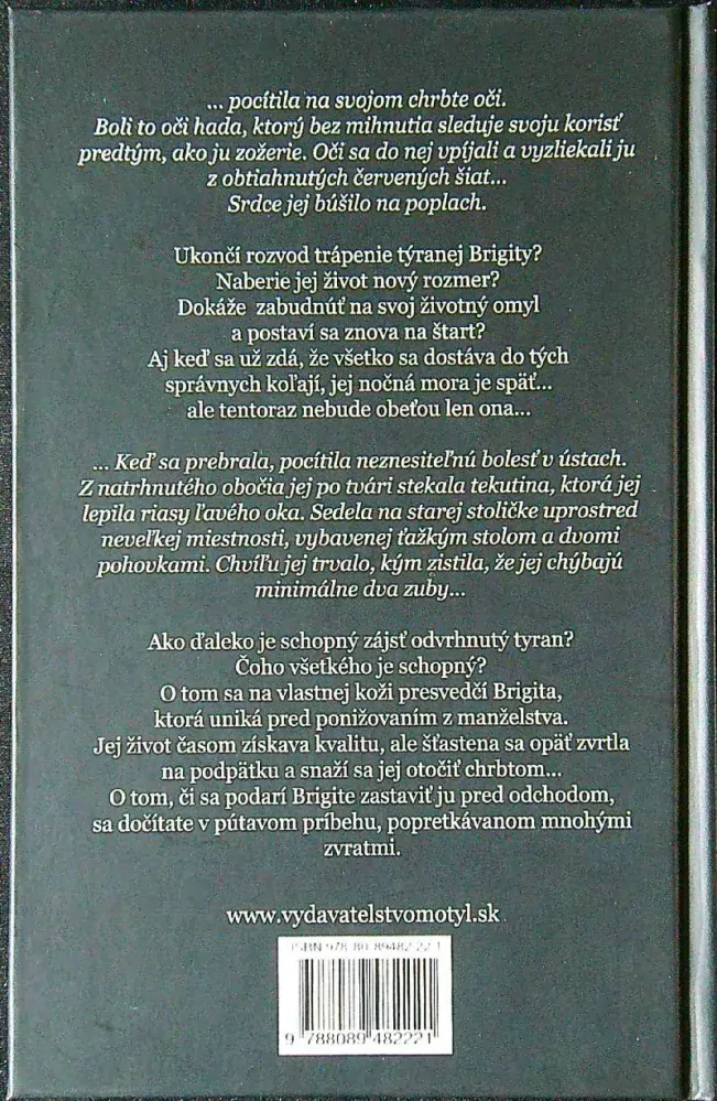 Bol si mojim omylom