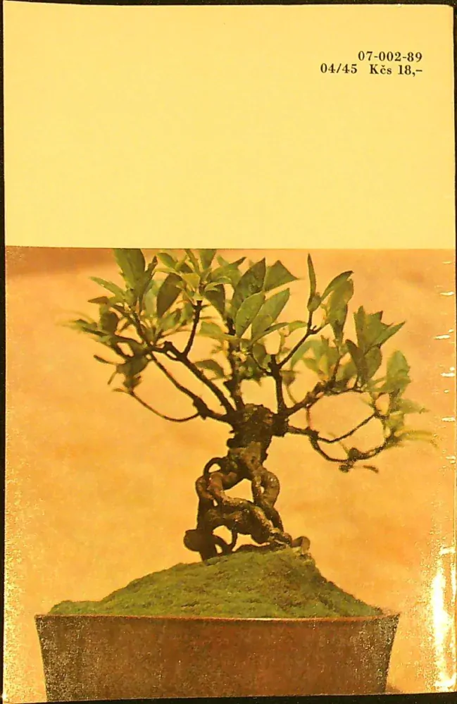 Bonsaj 1985