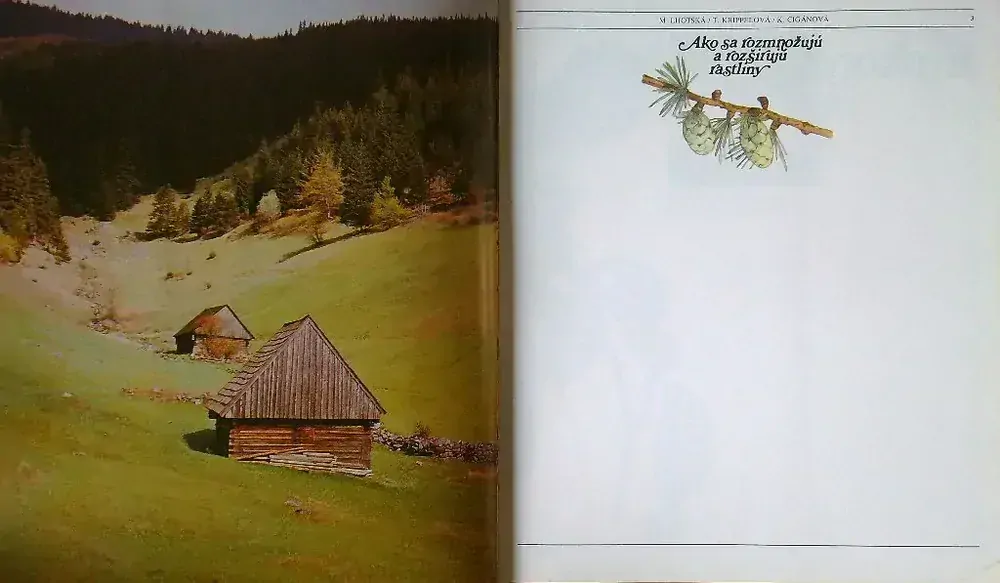 Ako sa rozmnožujú a rozširujú rastliny