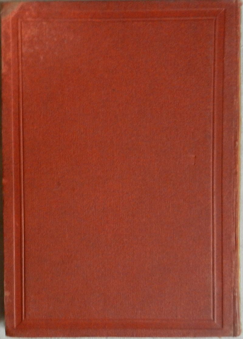 Die Leiden eines Chinesen in China 1881