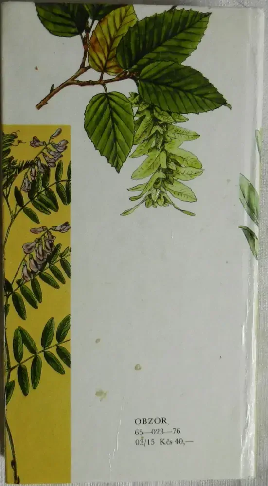 Rastliny lesov I.