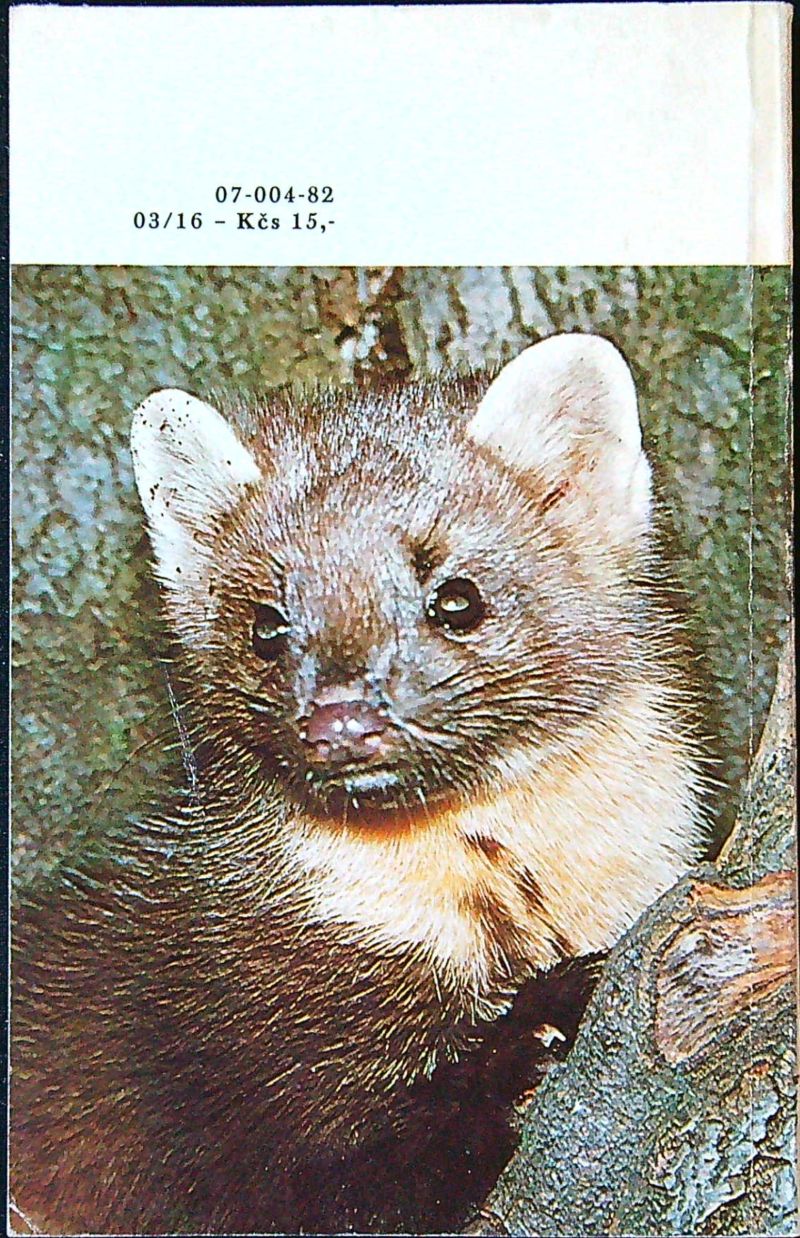 Zvířata celého světa 9 