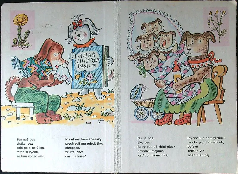 Čo pes našiel, aby zahnal kašeľ