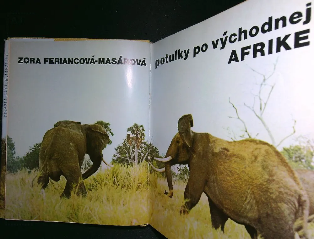 Potulky po východnej Afrike