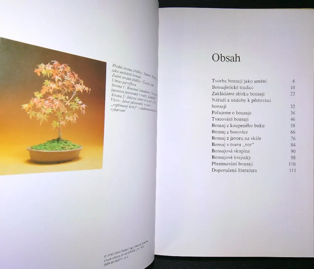 Bonsai