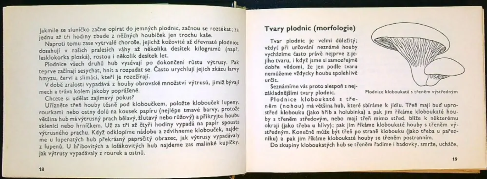 Naše houby
