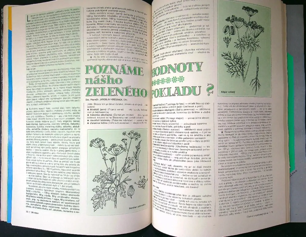 Čítanie o správnej výžive 89