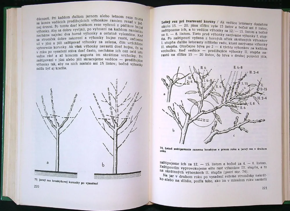 Radíme záhradkárom 1988