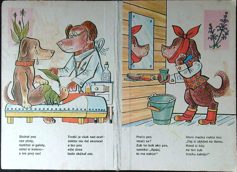Čo pes našiel, aby zahnal kašeľ