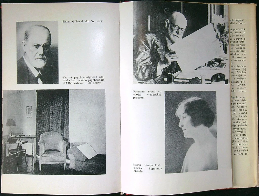 Psychoanalytická revolúcia