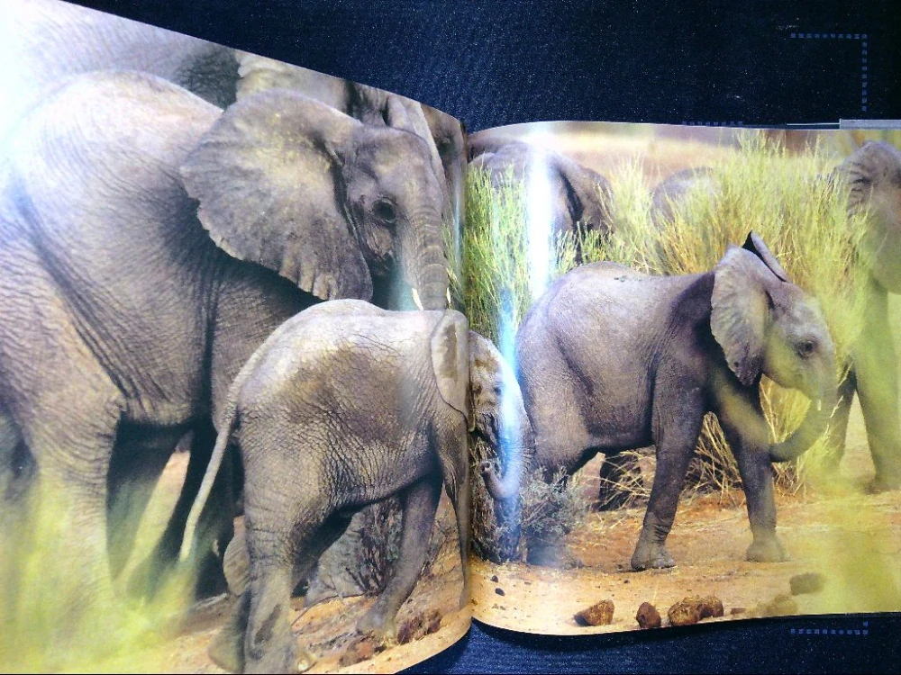 National Geographic - Great migrations