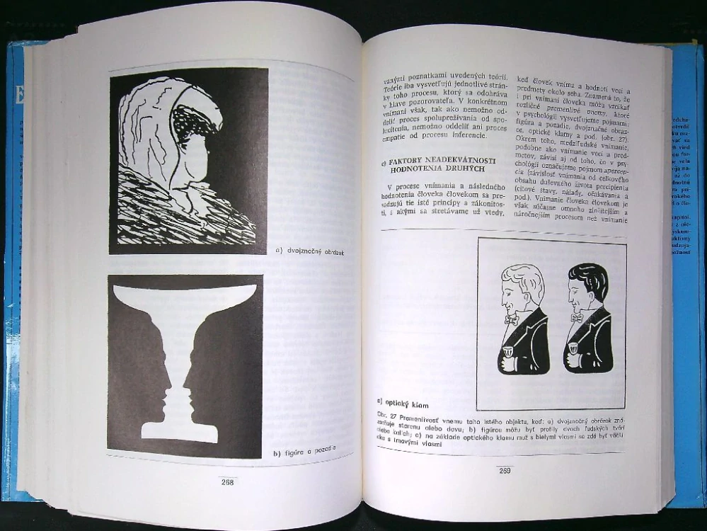Exemplifikácia