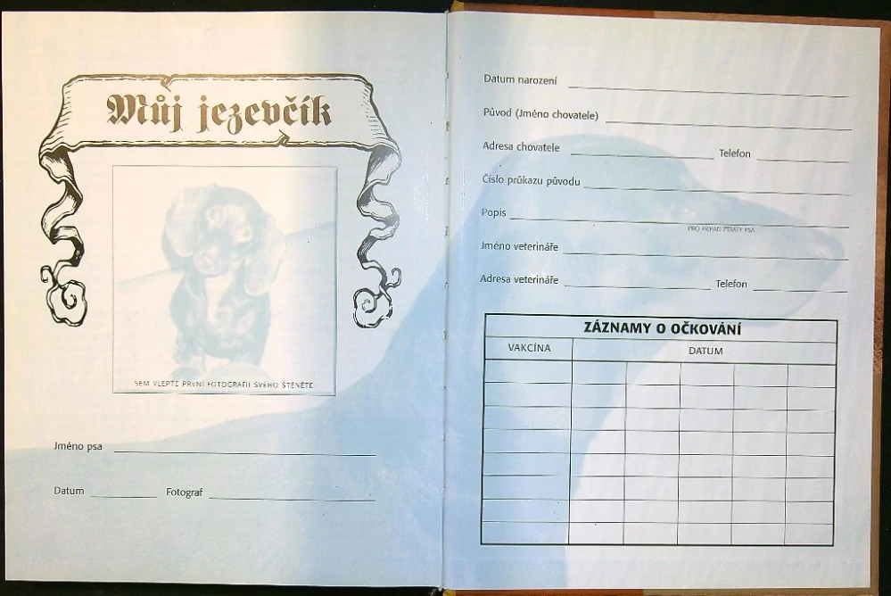Jezevčík