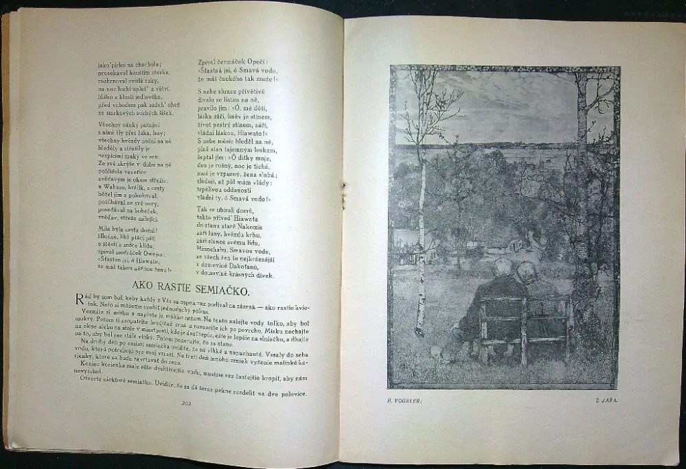 Lípa - květen 1926