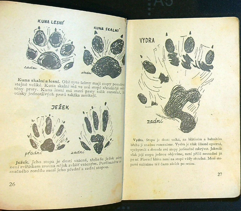Druhý zápisník 13 bobříků