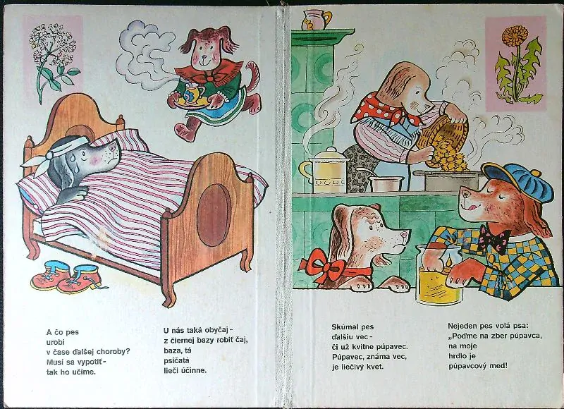 Čo pes našiel, aby zahnal kašeľ
