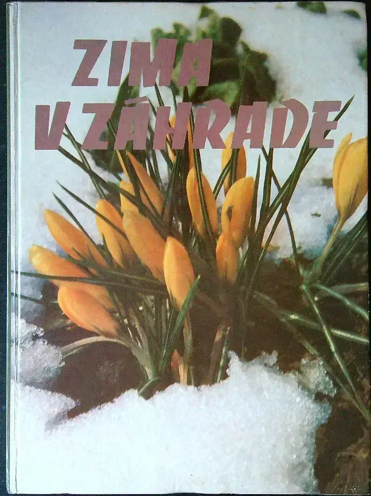 Jar, leto, jeseň, zima v záhrade