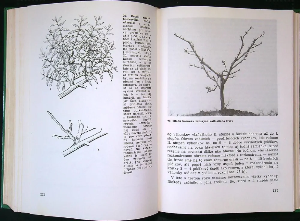 Radíme záhradkárom 1988