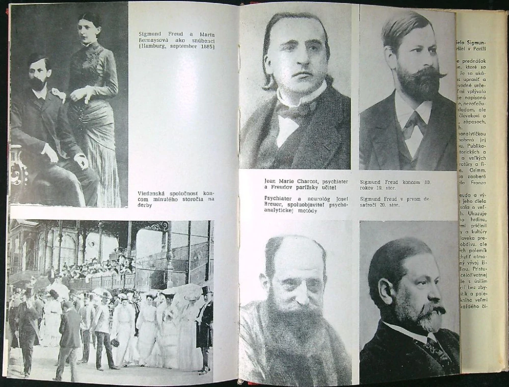 Psychoanalytická revolúcia