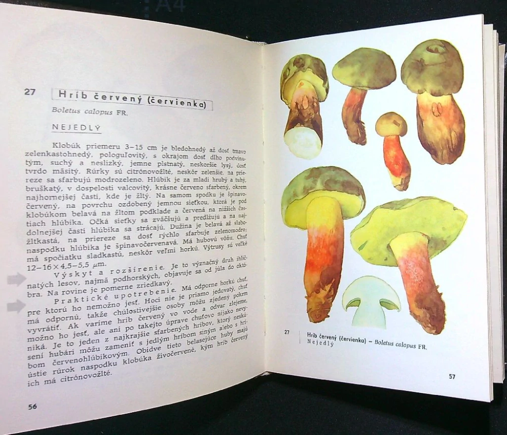 Vreckový atlas húb 1972