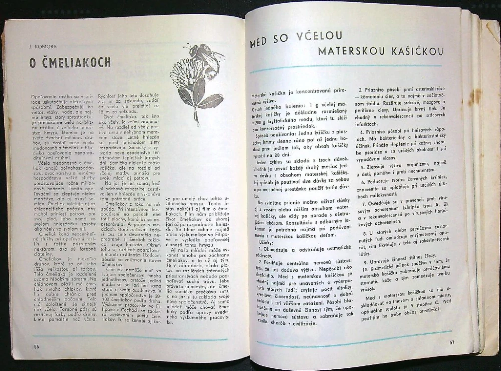 Magazín včelára
