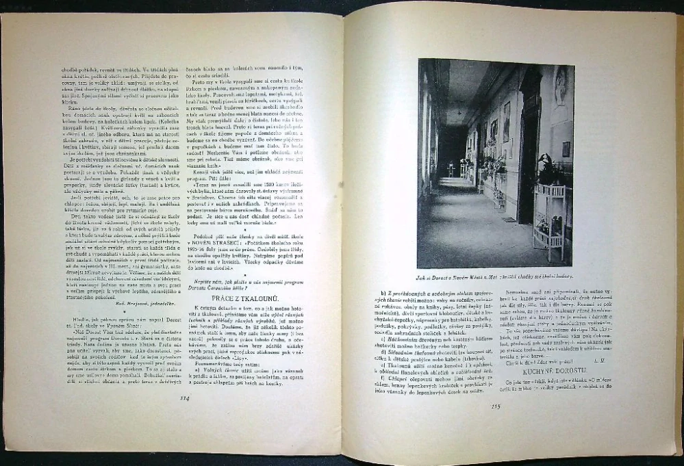 Lípa - leden 1926