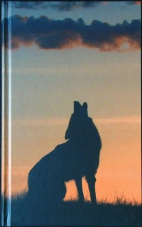 Posledný kojot