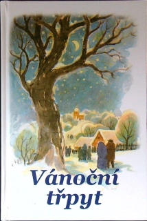 Vánoční třpyt
