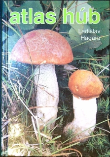 Atlas húb